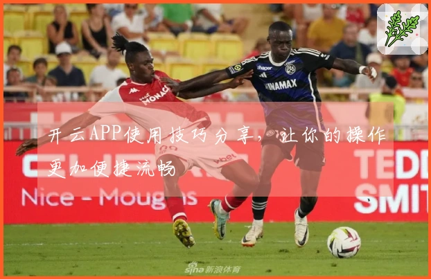 开云APP使用技巧分享，让你的操作更加便捷流畅